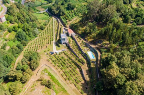 Melgaço Alvarinho Houses